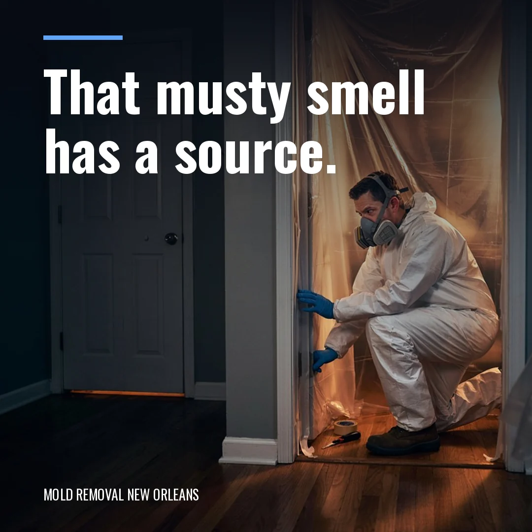 That musty smell has a source.